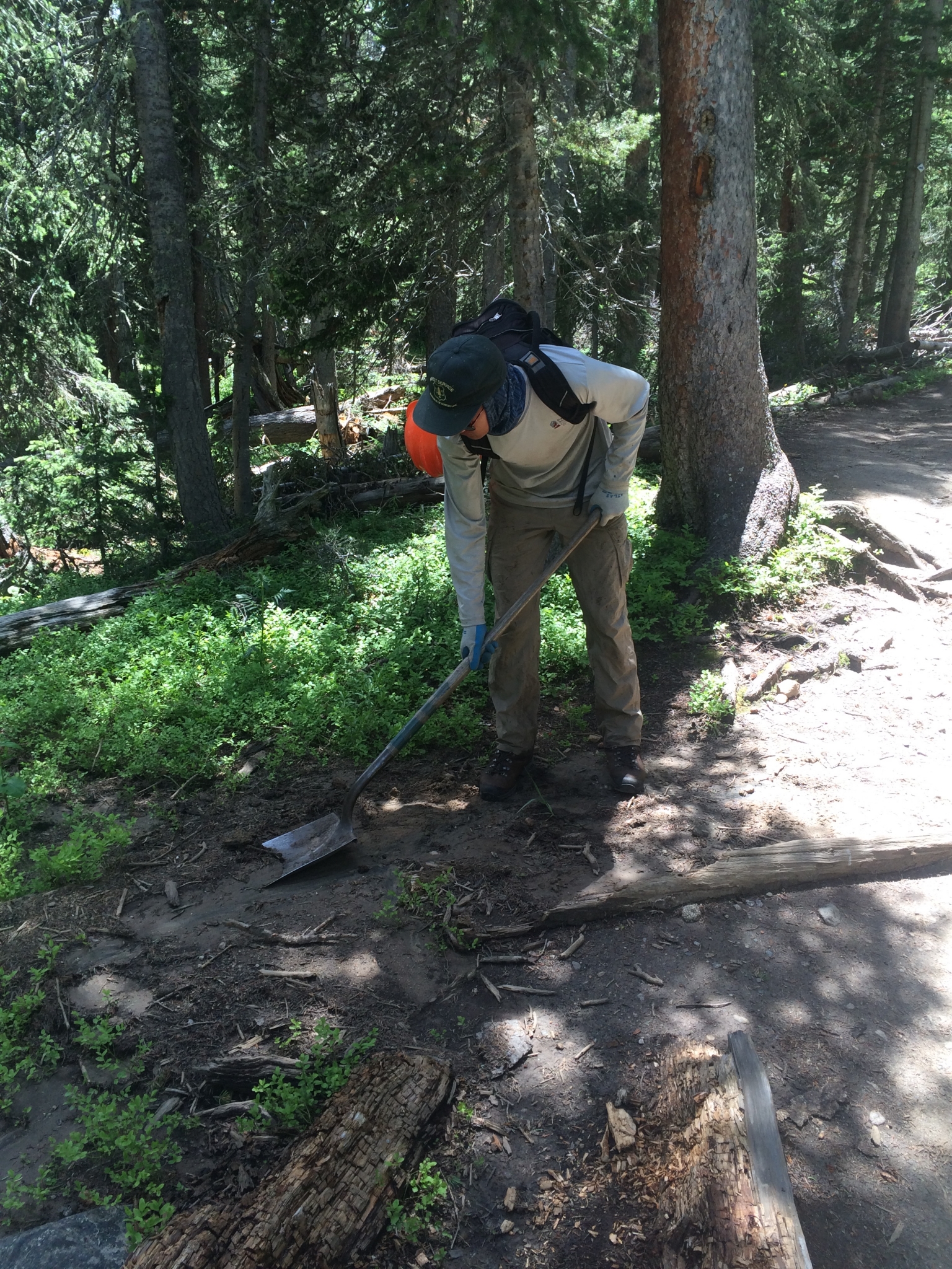 A person digging with a shovel in a forest, wearing a hat, long sleeves, and pants.