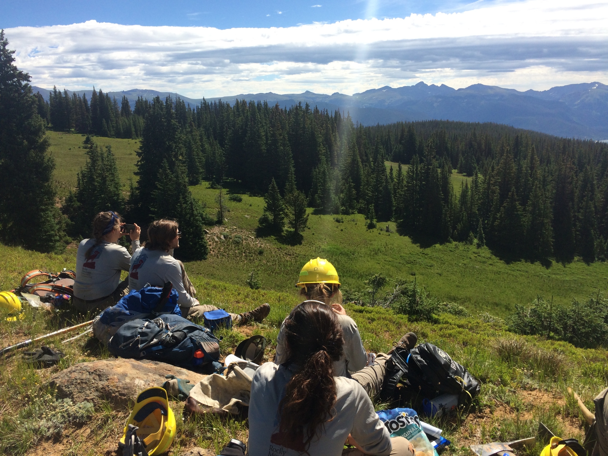 Three people in work gear sitting on a grassy hill overlooking a vast pine forest and mountain range, with safety helmets and equipment scattered around.