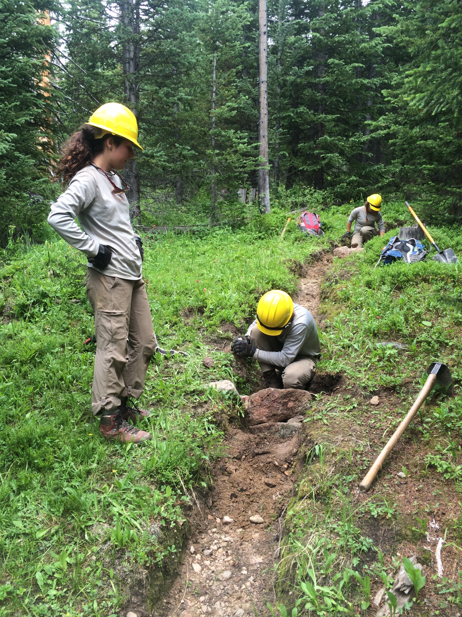 Workers in helmets and protective gear digging and examining soil on a forest trail.