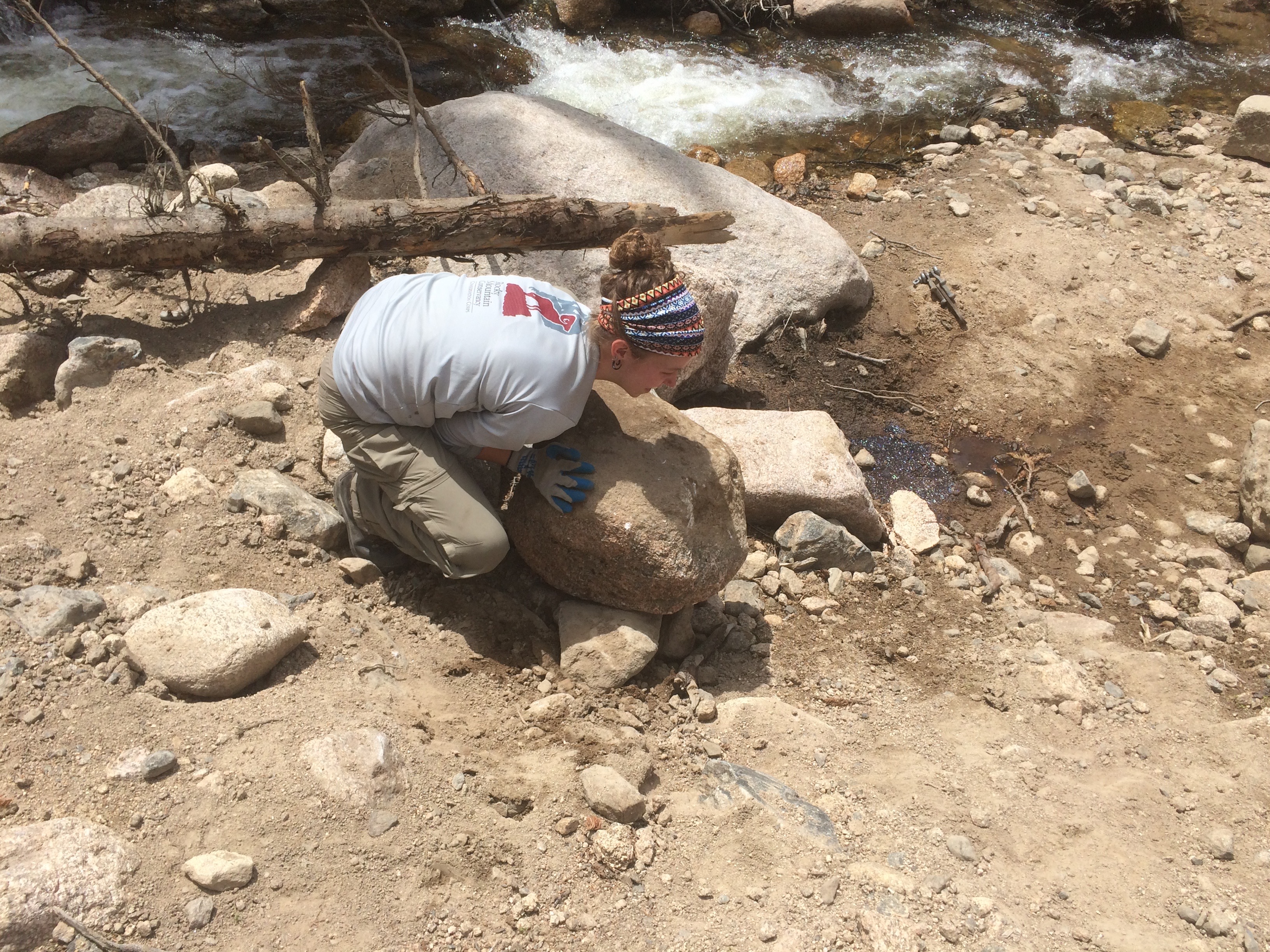A person in a white shirt and gloves examines a large rock beside a creek, with trees and rocks in the background.
