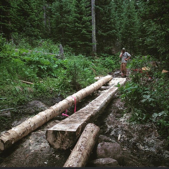 The log base for the boardwalk