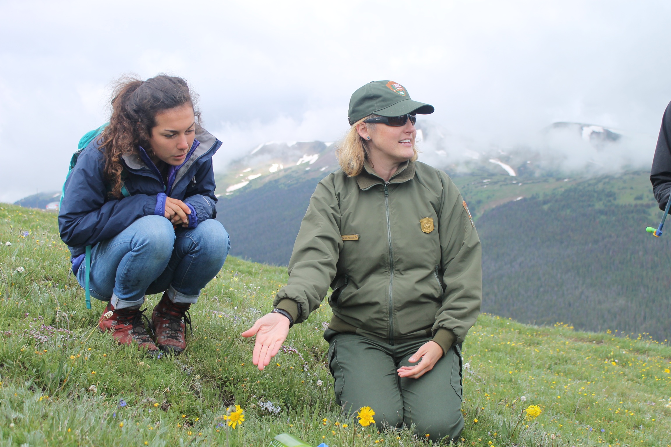 A park ranger and a visitor kneel in a grassy field discussing flora