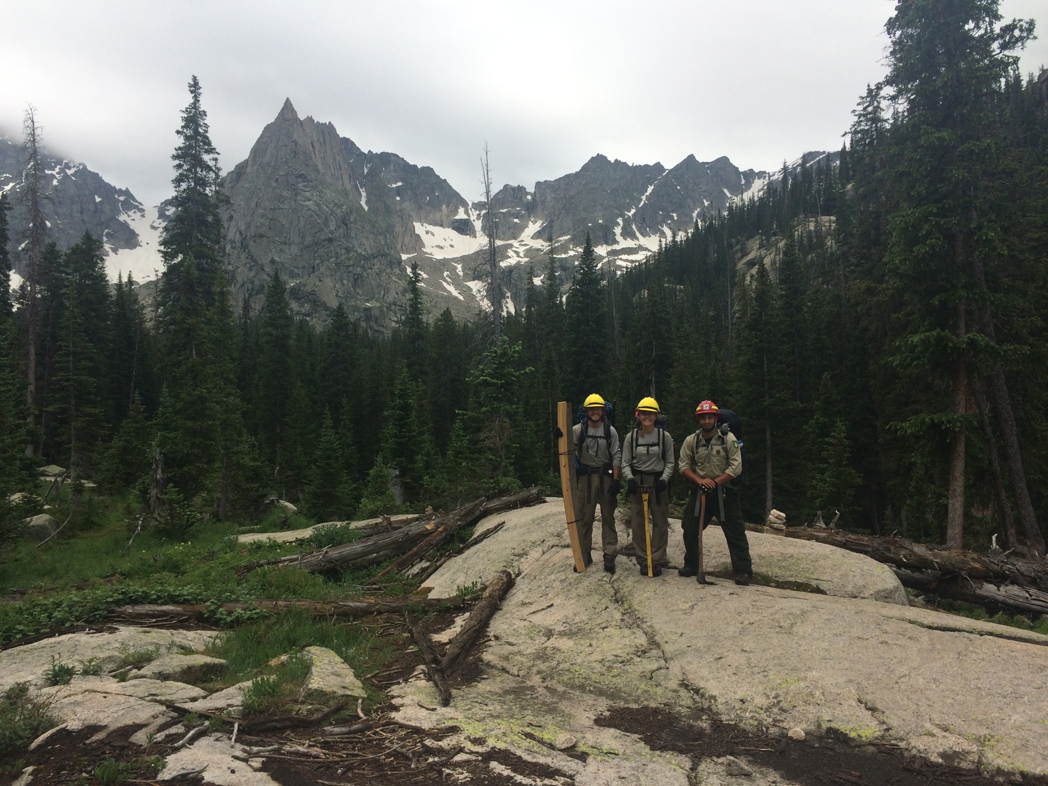 Three forest workers standing on a rocky terrain with alpine trees and mountain peaks