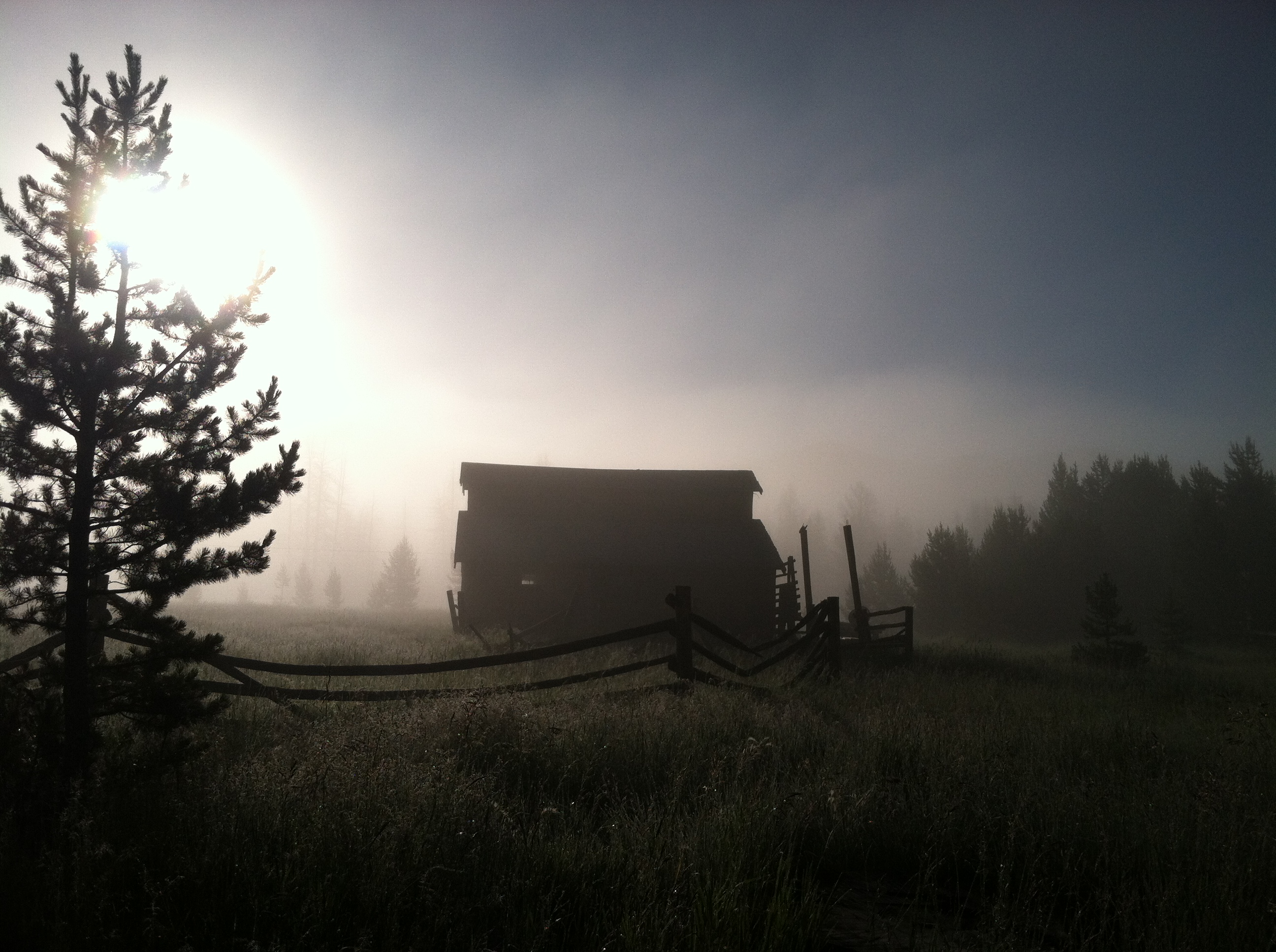 A foggy morning scene with the sun shining behind a rustic barn and a pine tree, creating a serene, silhouetted landscape.