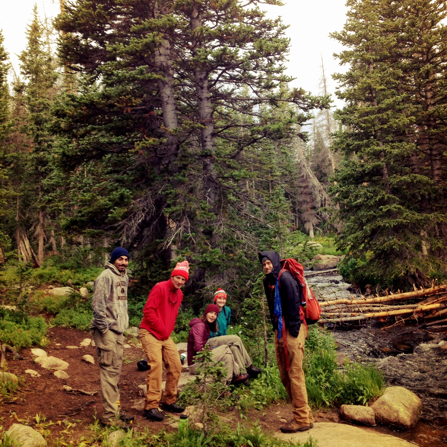 A group of five hikers with backpacks standing on a forest trail near fallen logs and pine trees.
