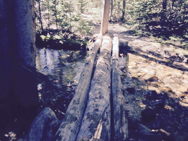 A makeshift bridge made of logs laid across a small, sunlit forest stream