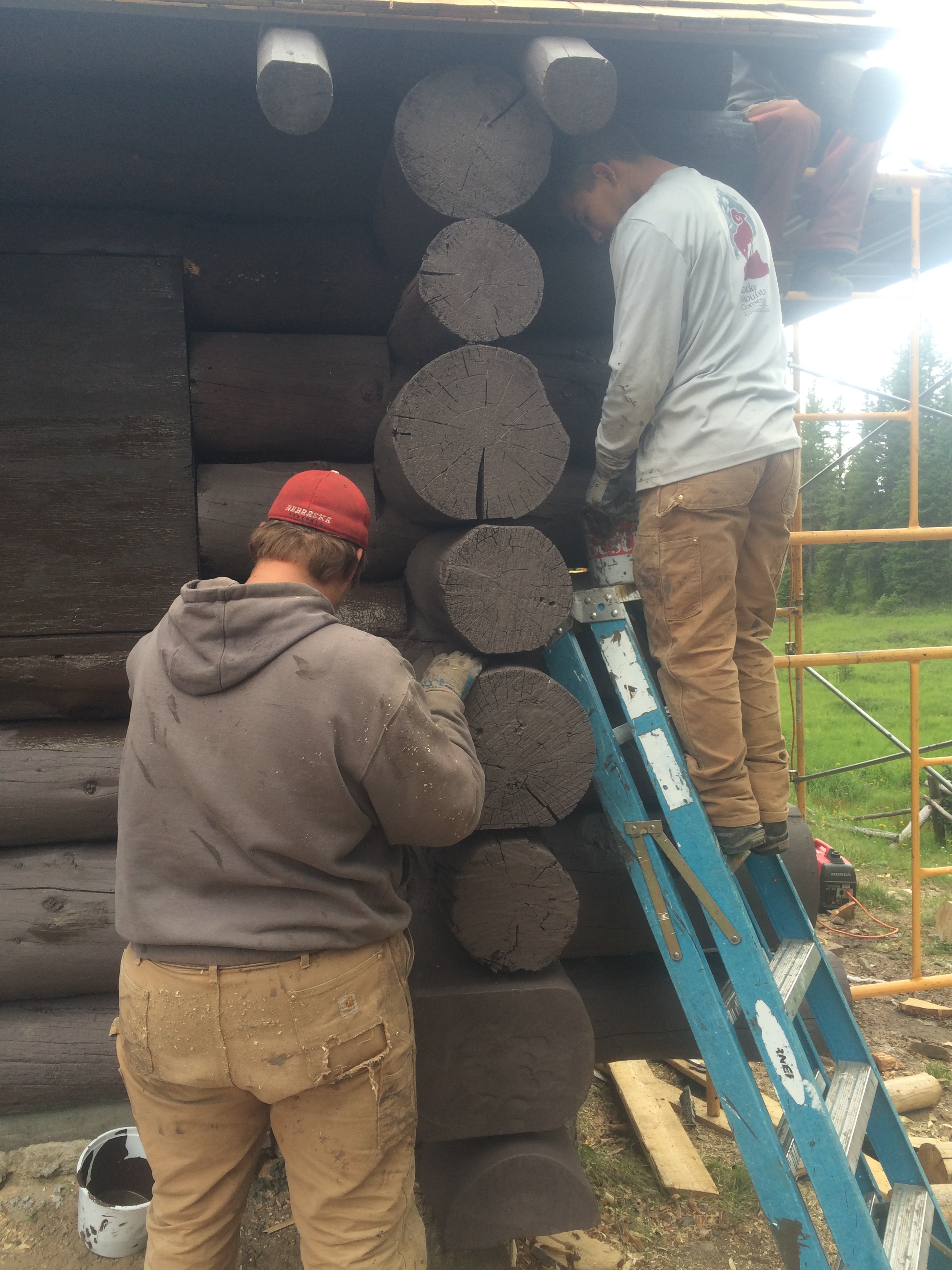 Two workers repair a log cabin, using a ladder and hand tools, focusing on the cabin's corner logs.