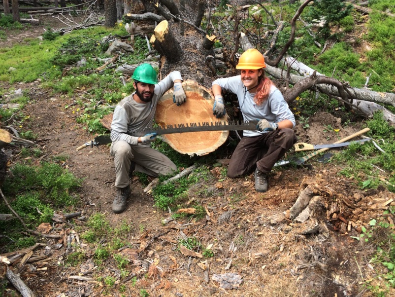 Two forest workers in safety gear posing with a large saw next to a freshly cut tree trunk in a wooded area.