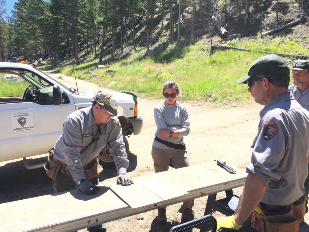Four forest rangersmexamining a map on a table