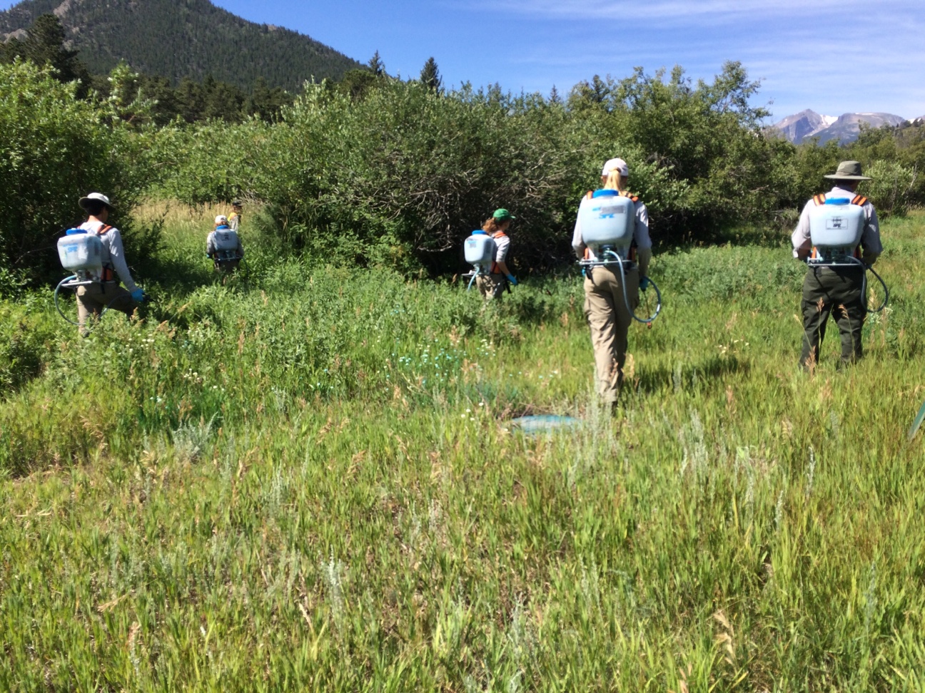 Group of workers spraying on grass field