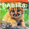 Rocky Mountain Babies book.
