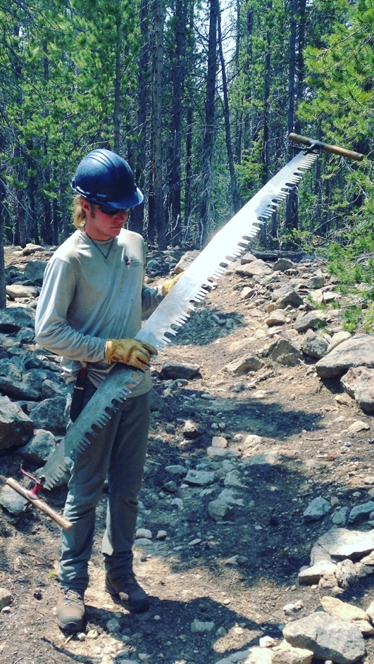 A person in a helmet and gloves holds a large crosscut saw in a forested area with rocky terrain.