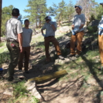 A group of men standing next to a tree.