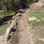 A dirt trail in the woods.