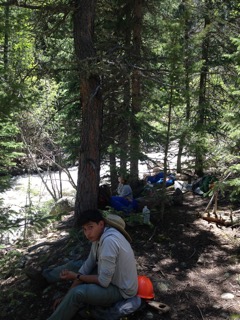 Two people sitting around trees on a forest
