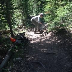 Woman cleaning a forest trail on a wooded area