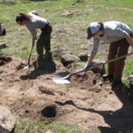 A group of people digging in the dirt with shovels.