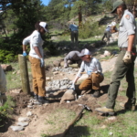 A group of people working on a trail in the woods.