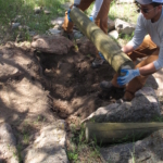 Two men are digging a hole in the ground.