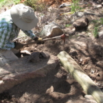 A man is digging a hole in the ground with a shovel.