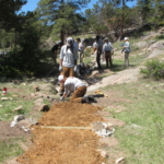 A group of people working on a trail.