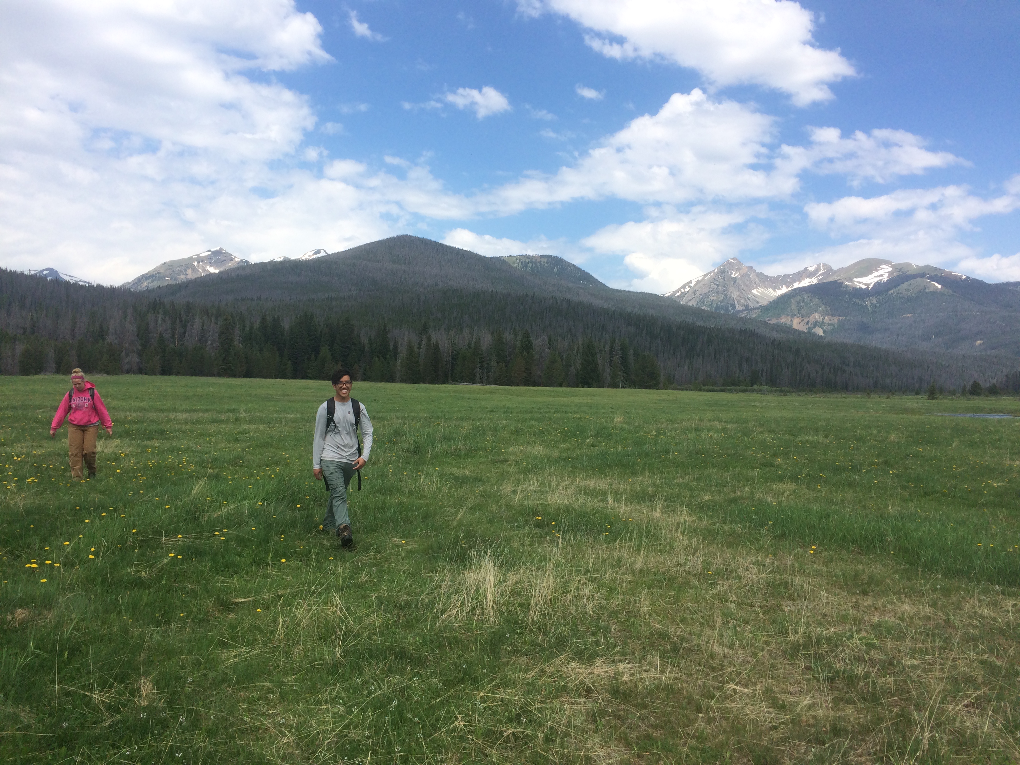 Two people walking in a wide, grassy meadow