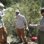 A group of men working on a trail.