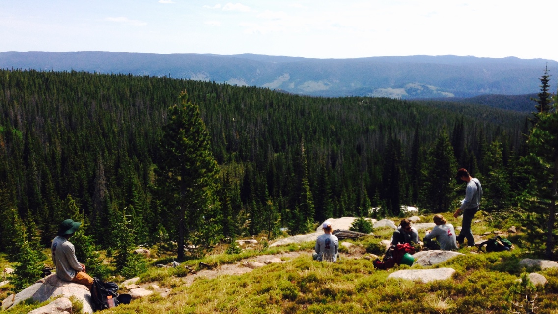 Group of workers resting at a mountainside surrounded by pine trees