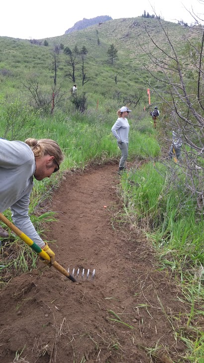 A man building a path using a rake on a green meadow