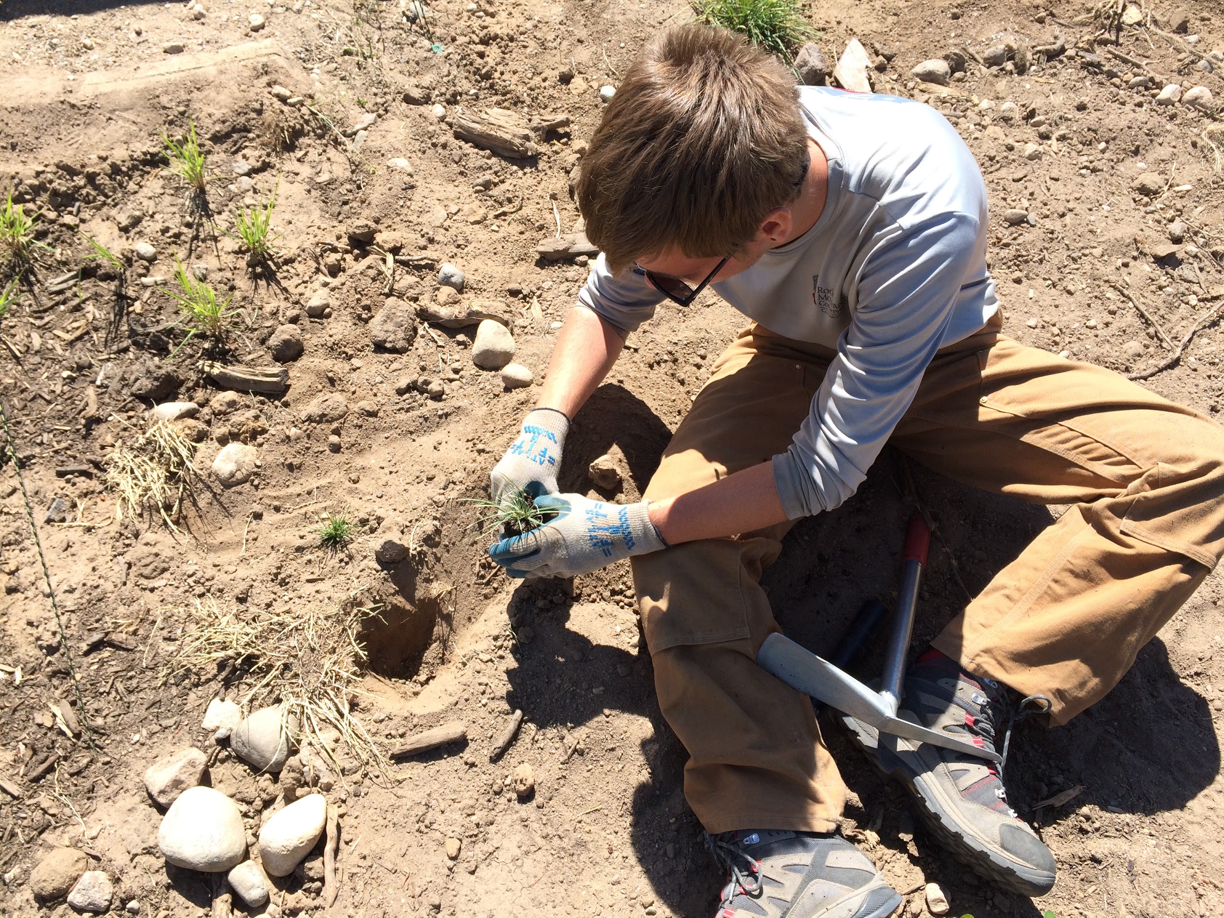 A man kneeling on the ground, digging in the dirt with a trowel, surrounded by rocks and vegetation.