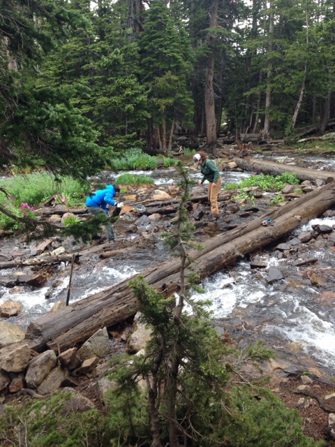 Two hikers crossing a rocky stream on a fallen log in a dense forest setting.