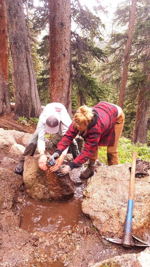 Two people attaching equipment to a large rock in a forested area