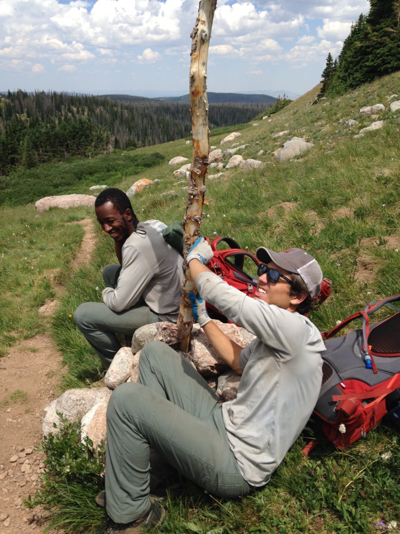 Two hikers resting against a tree on a mountain trail