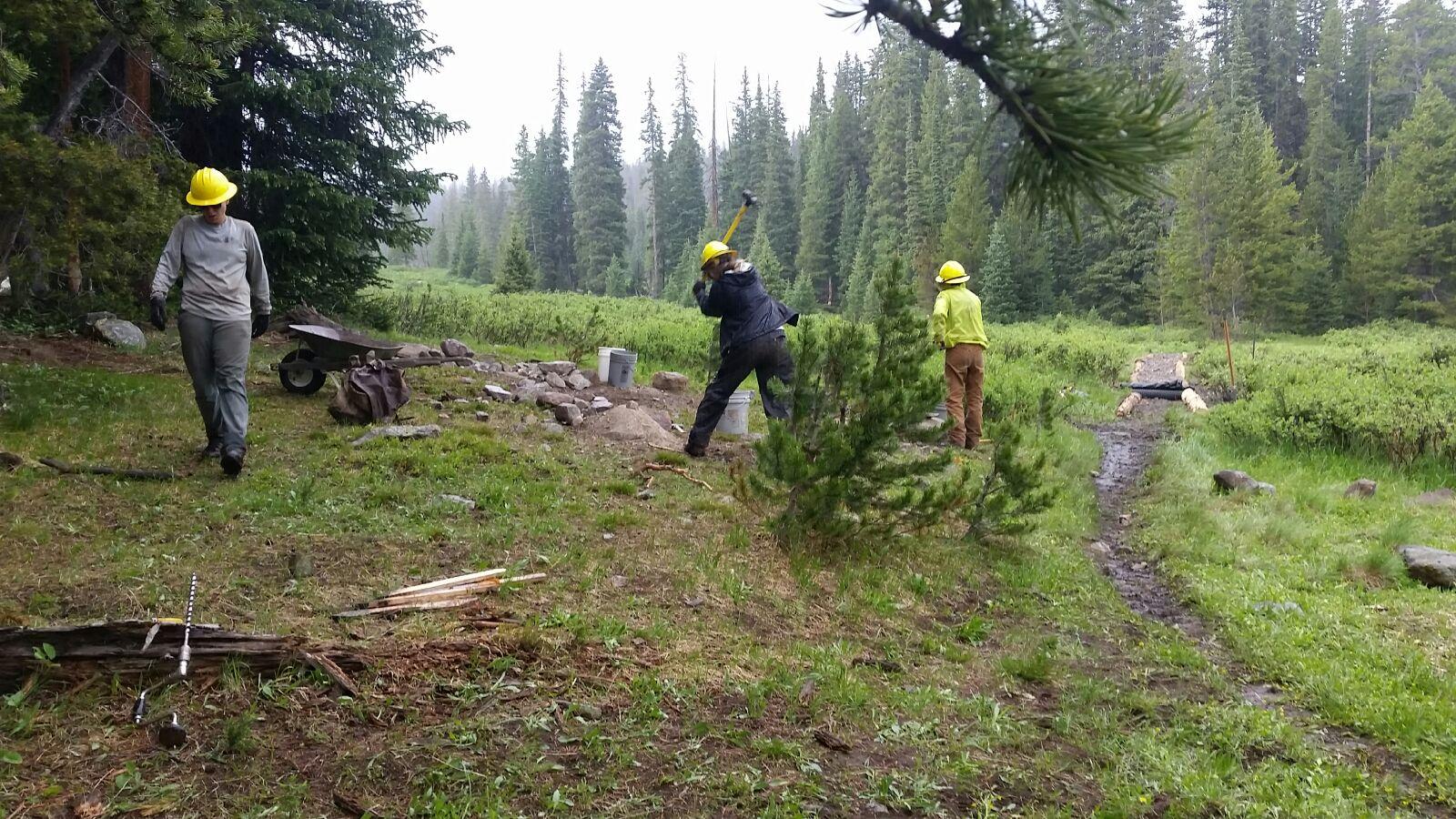 Three workers in a forest, one swinging a pickaxe, with tools and materials around.