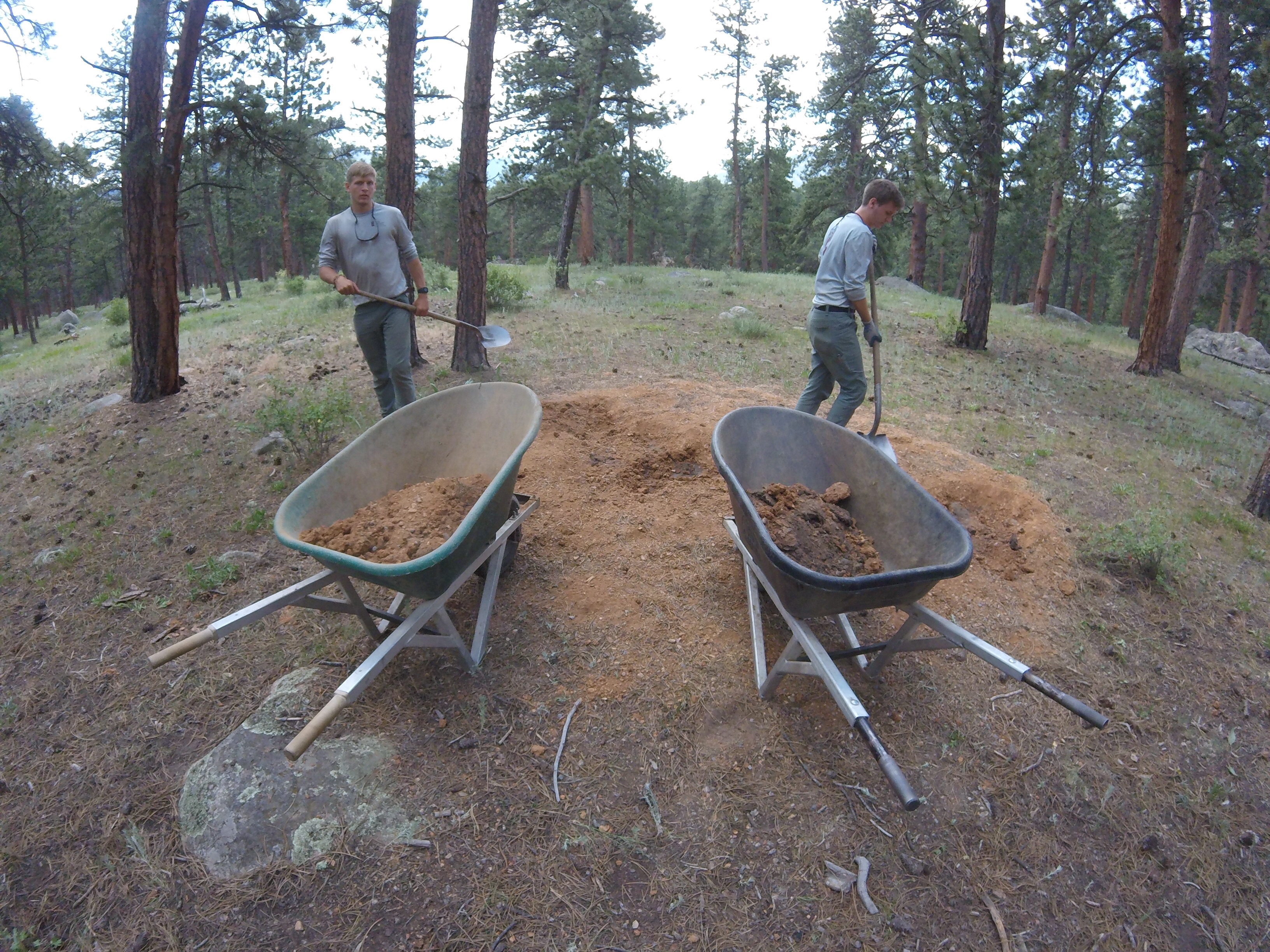 Two people using shovels to move soil into wheelbarrows in a wooded area.