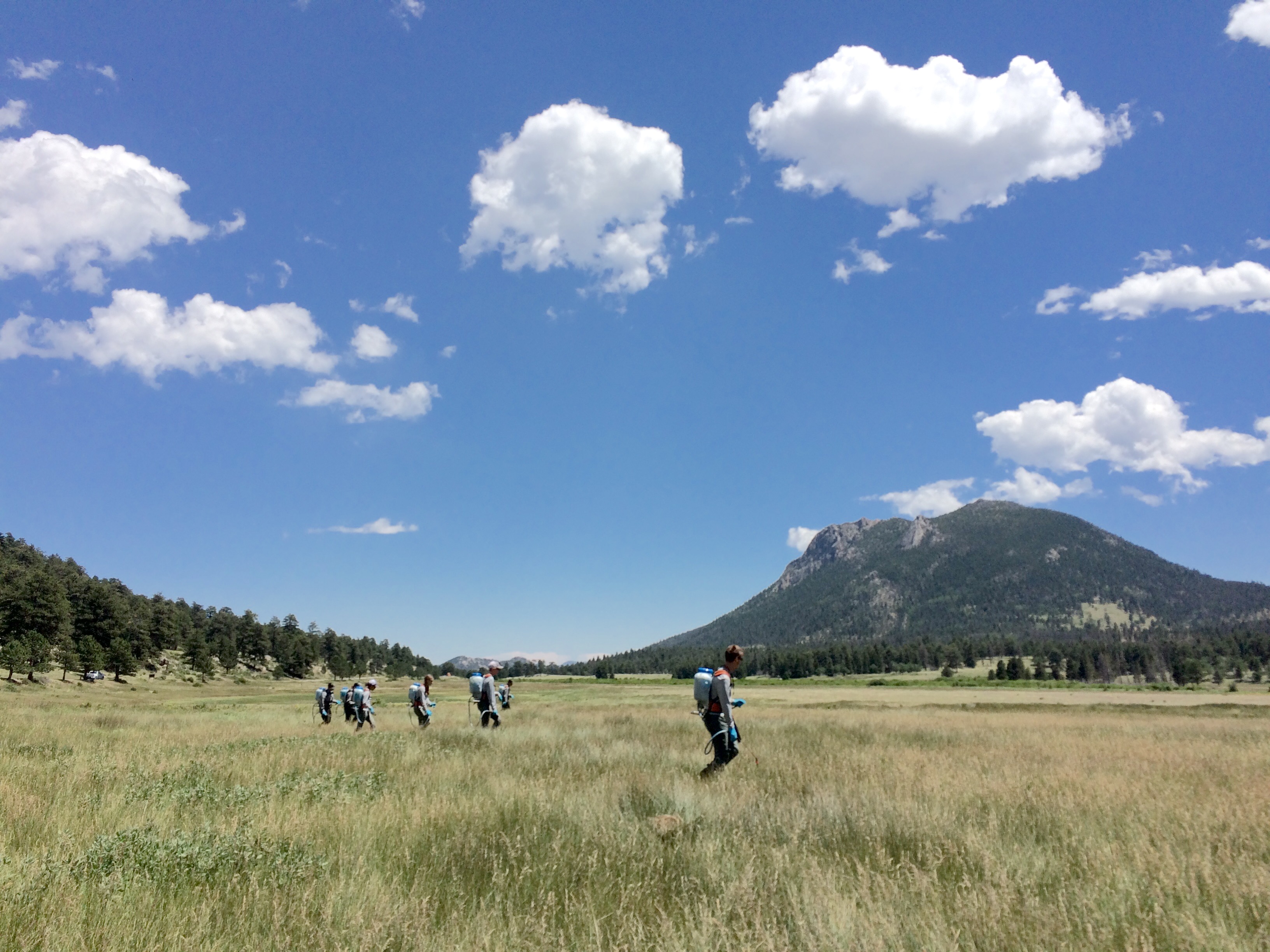 A group of hikers walking across a vast meadow