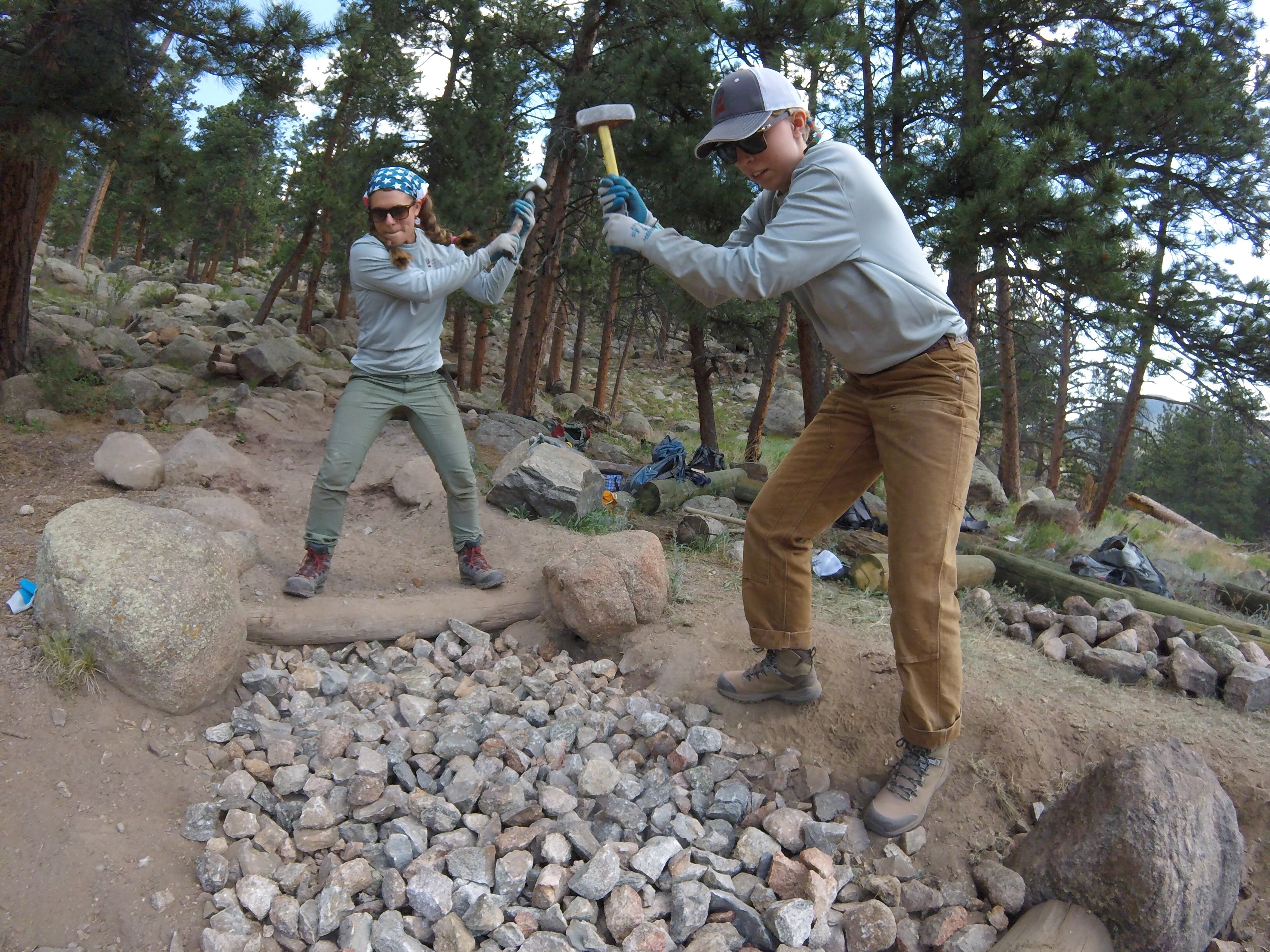 estes 2