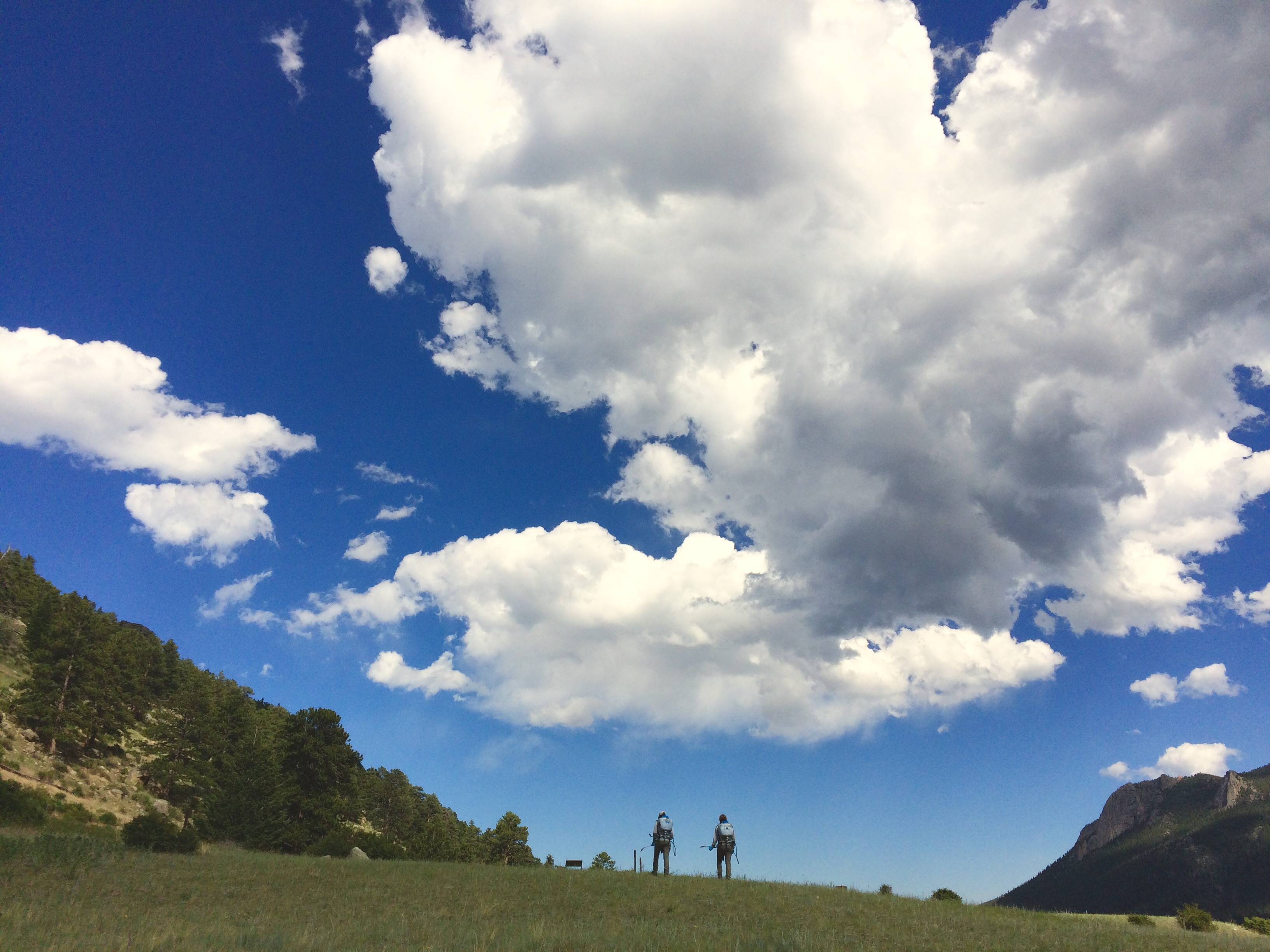 Two people in a grassy field under a vast sky with large fluffy clouds