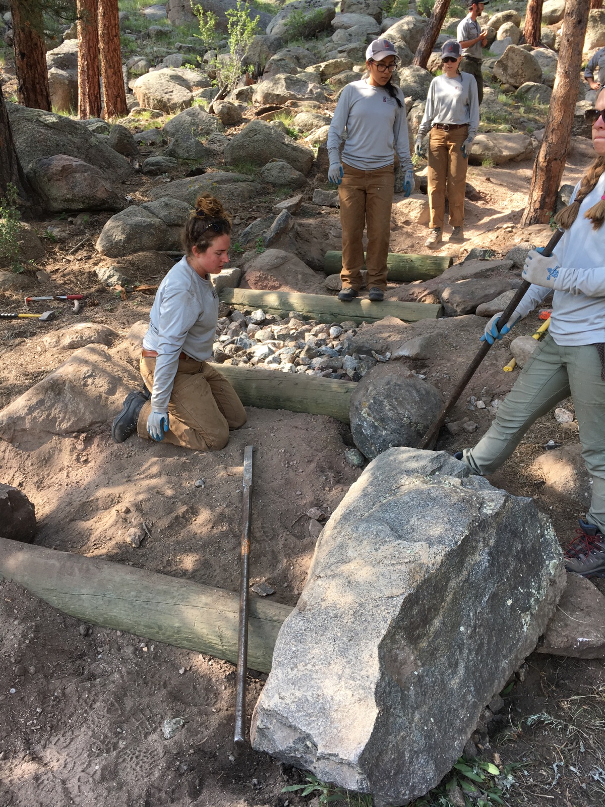 Volunteers working on a trail restoration project in a forest, moving and arranging rocks and logs.