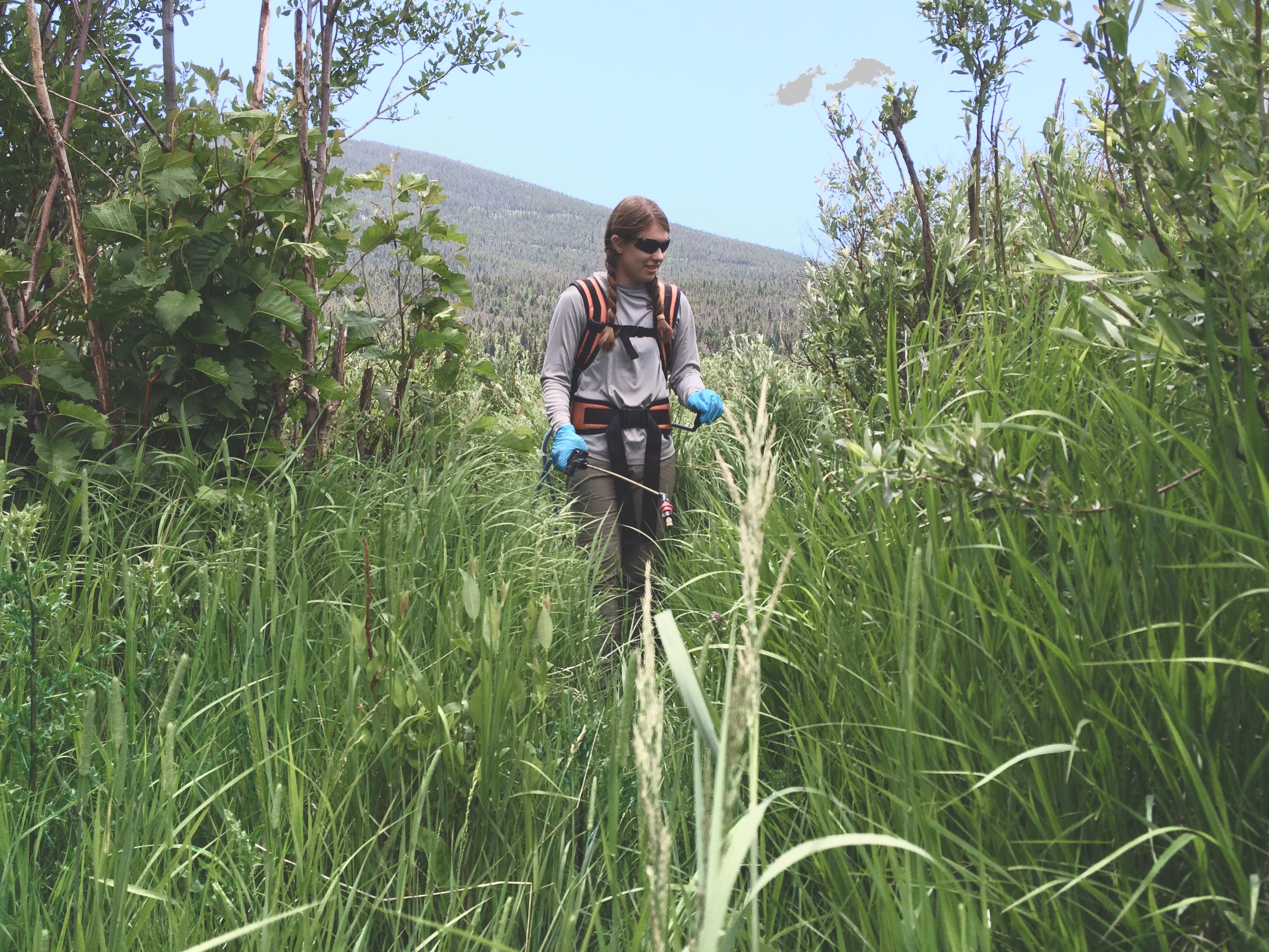 A woman hiking through tall grass with a backpack and trekking poles
