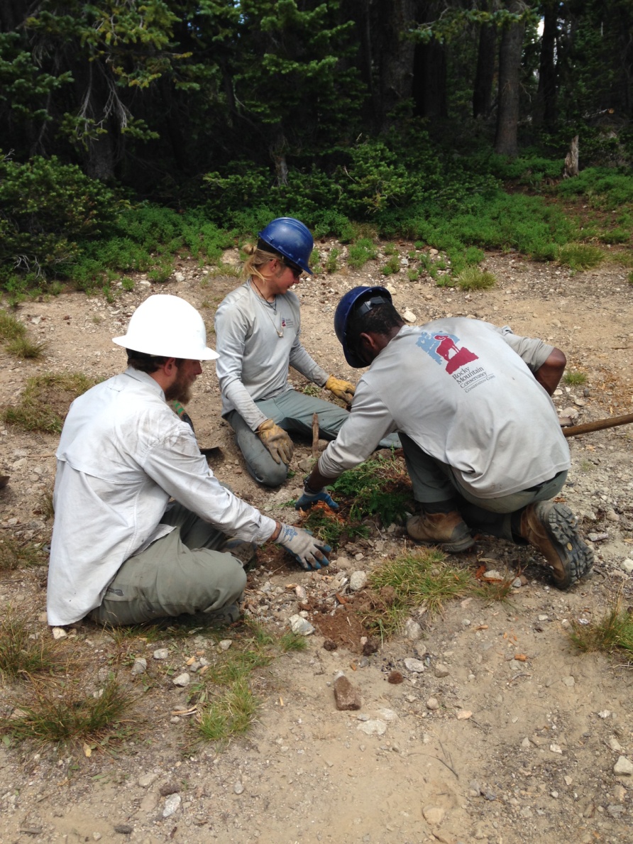 Three people wearing helmets and white shirts work together to repair a trail in a forested area.