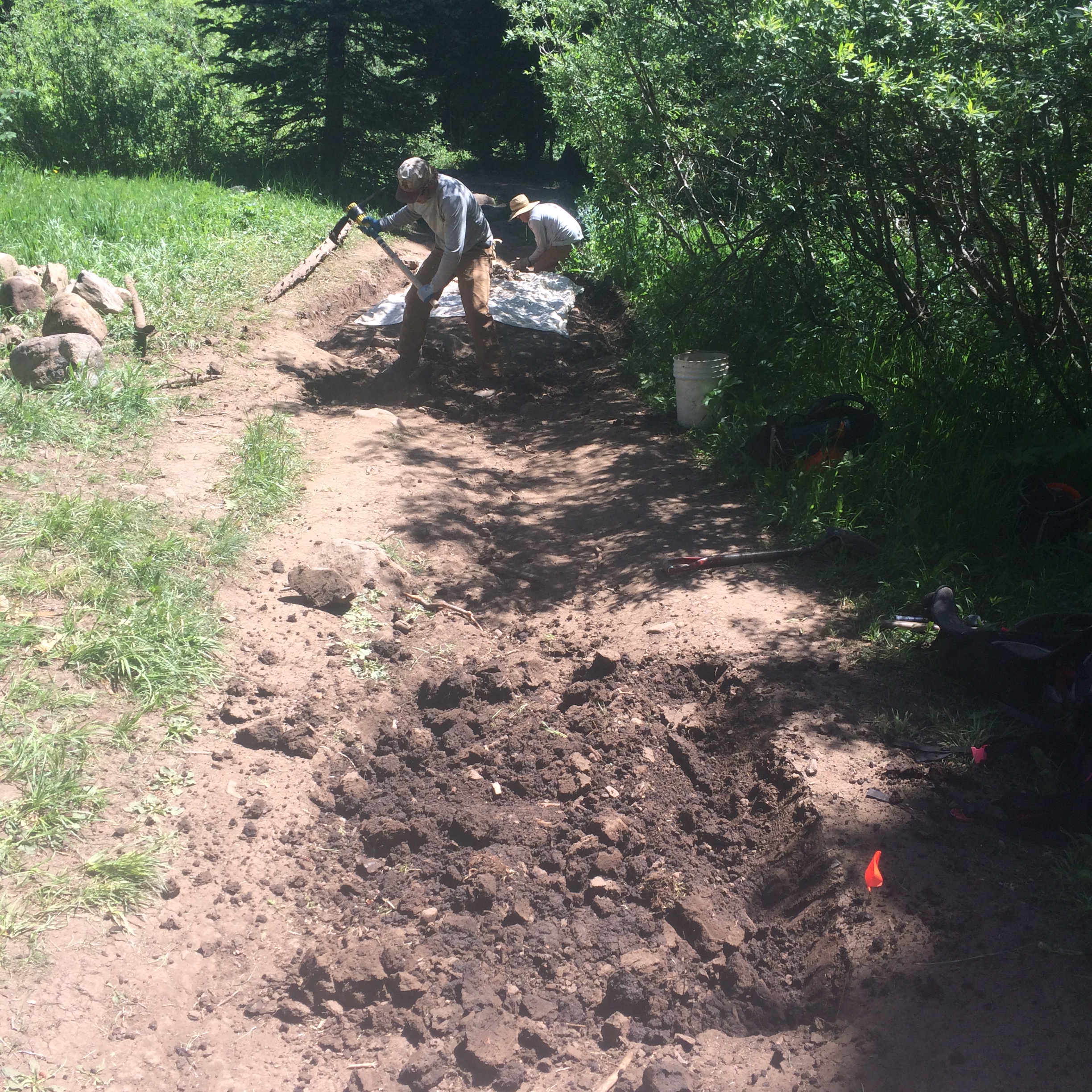 A person shoveling dirt on a sunny day to maintain a trail in a lush green forest.