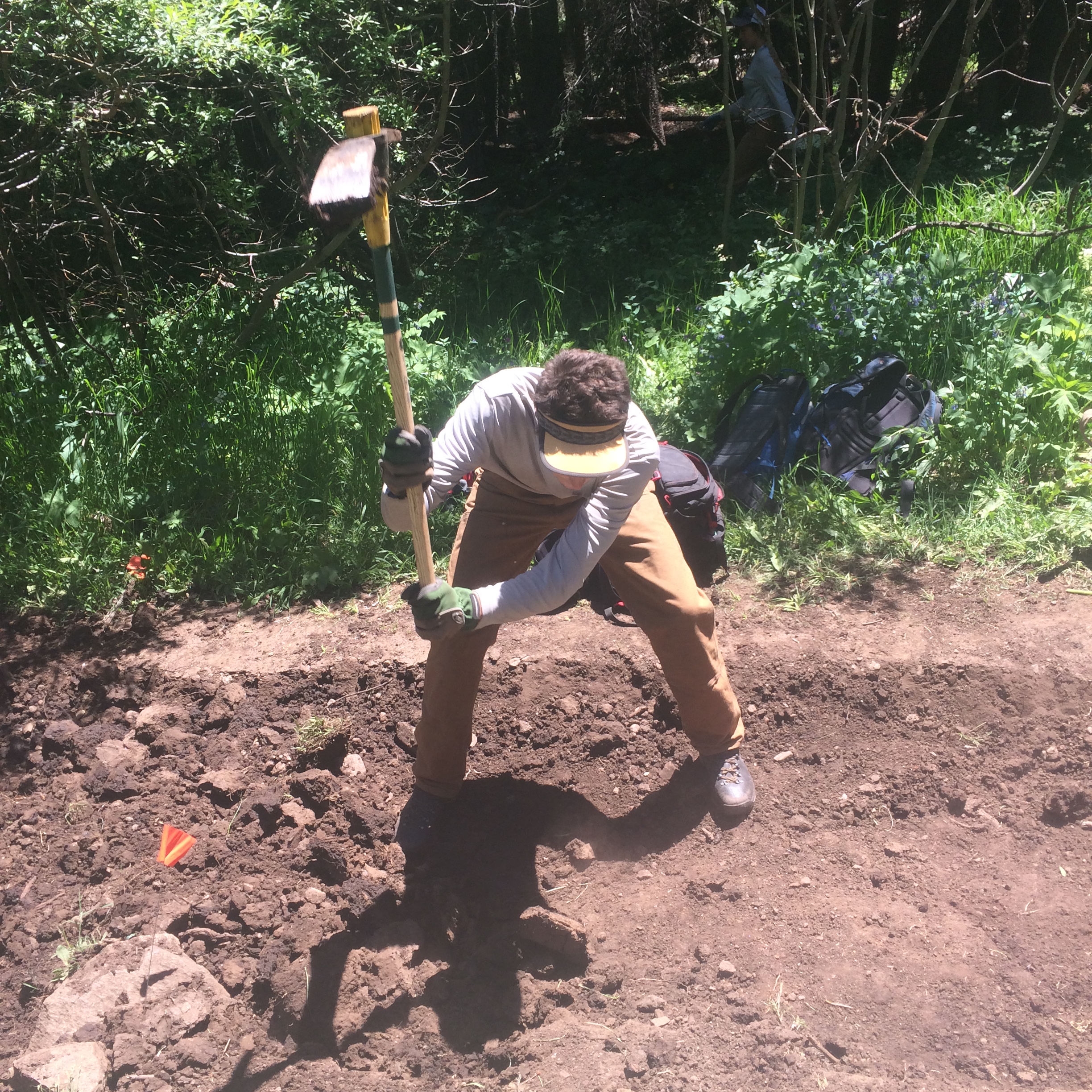 A man digs soil with a shovel in a woodland area, wearing casual work attire and a face mask.