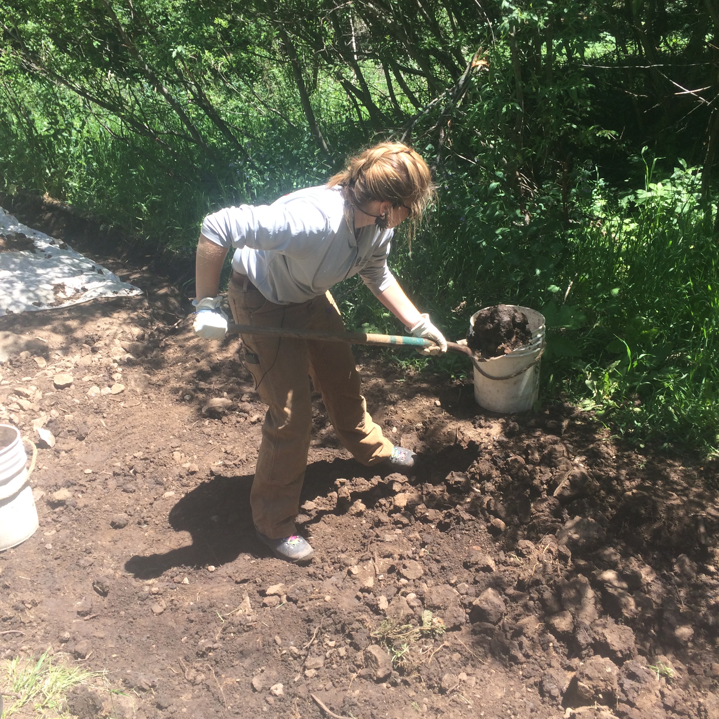 A person digs soil with a shovel near a bucket in a sunny, wooded area.