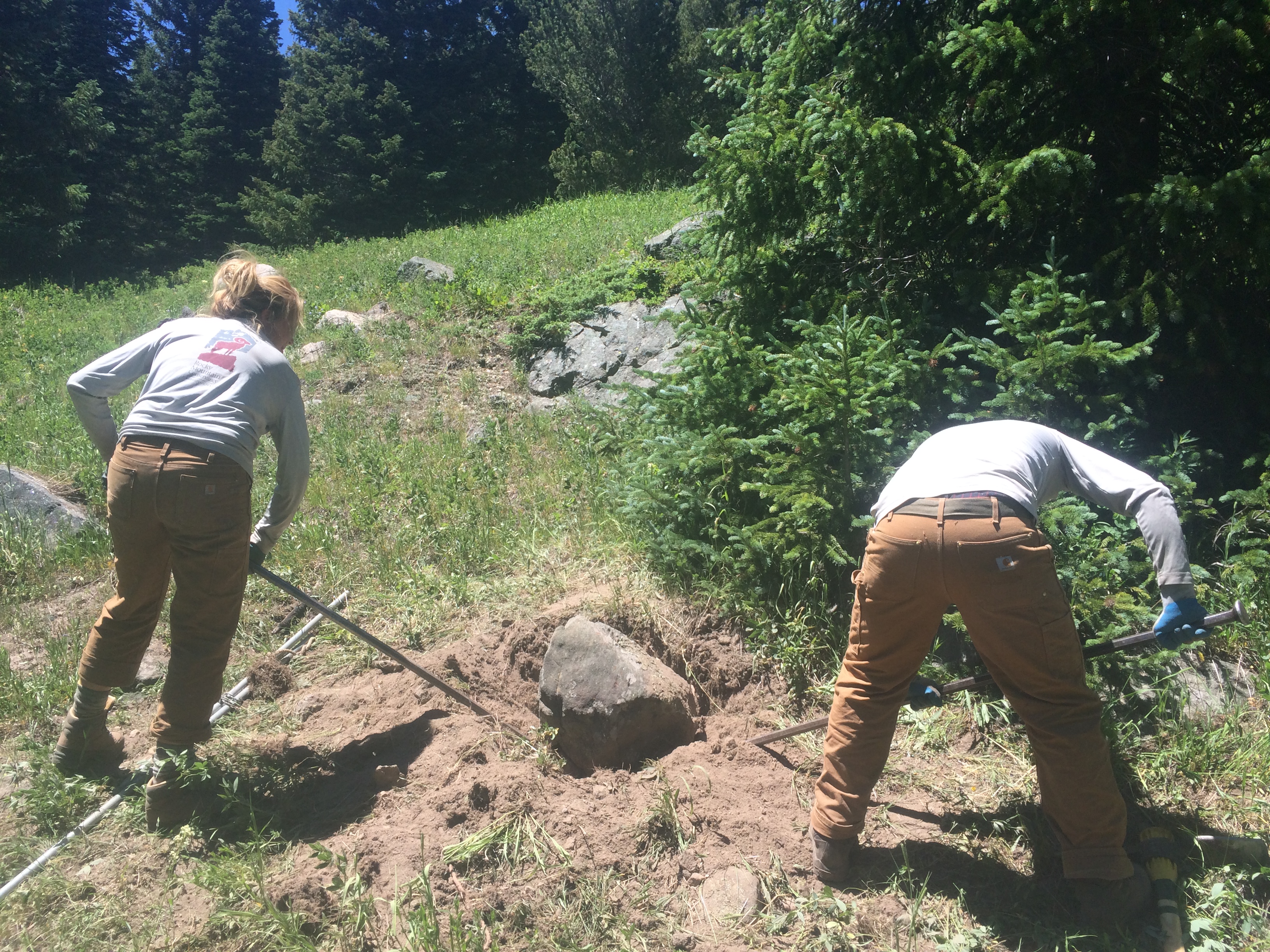 Two people using tools to dig around a large rock in a sunny forest clearing.