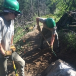 Two people working on a trail in the woods.