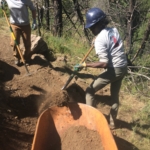 Two people digging a hole in the dirt.