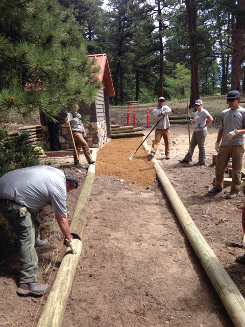 Group of workers building a trail path with logs in a forest