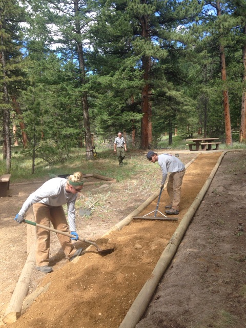 Two people raking soil on a forest trail