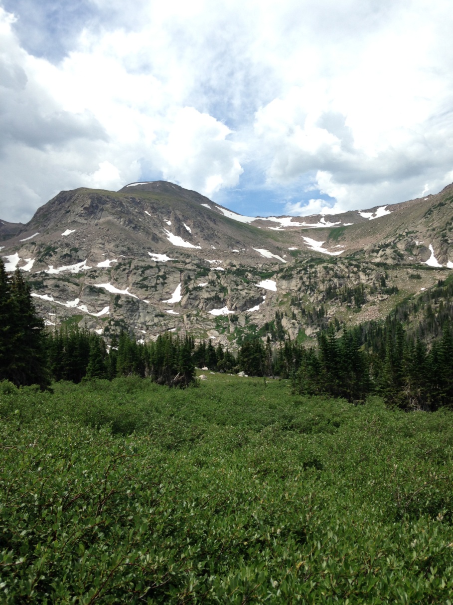 A lush green valley with scattered snow patches leading up to a rocky mountain under a cloudy sky.